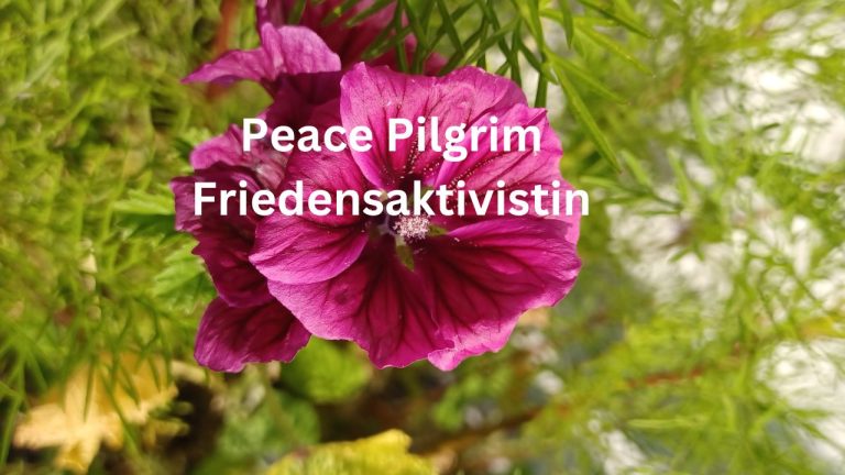 Peace Pilgrim – Friedensaktivistin