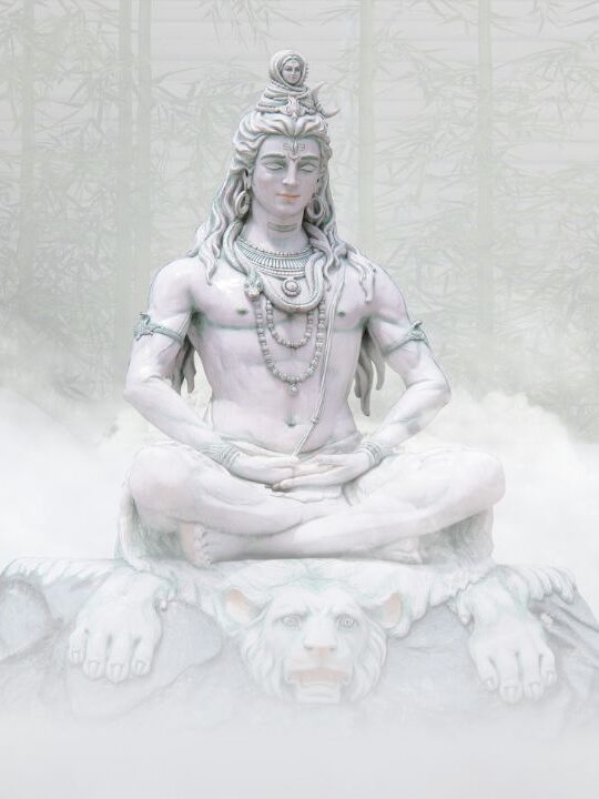 Shiva Darshini