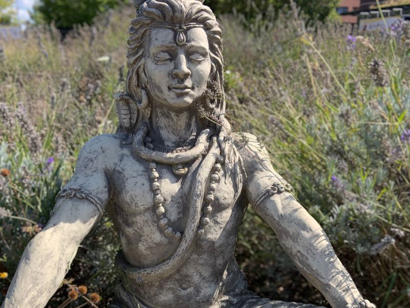 Shiva in Yoga Vidya Bad Meinberg Darshini Devi