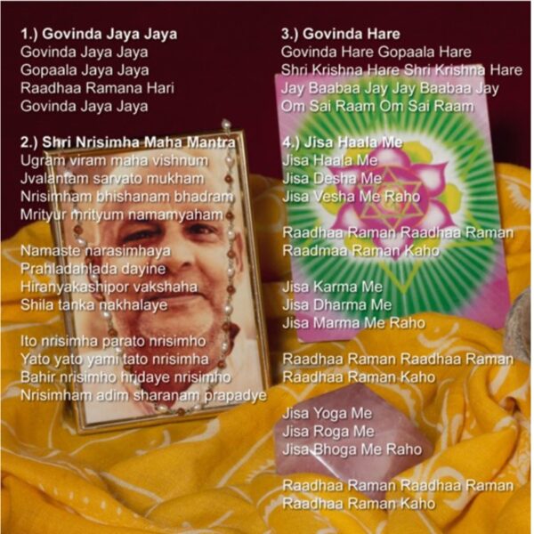 Vishnu Shakti CD (physisches Produkt) – Bild 3